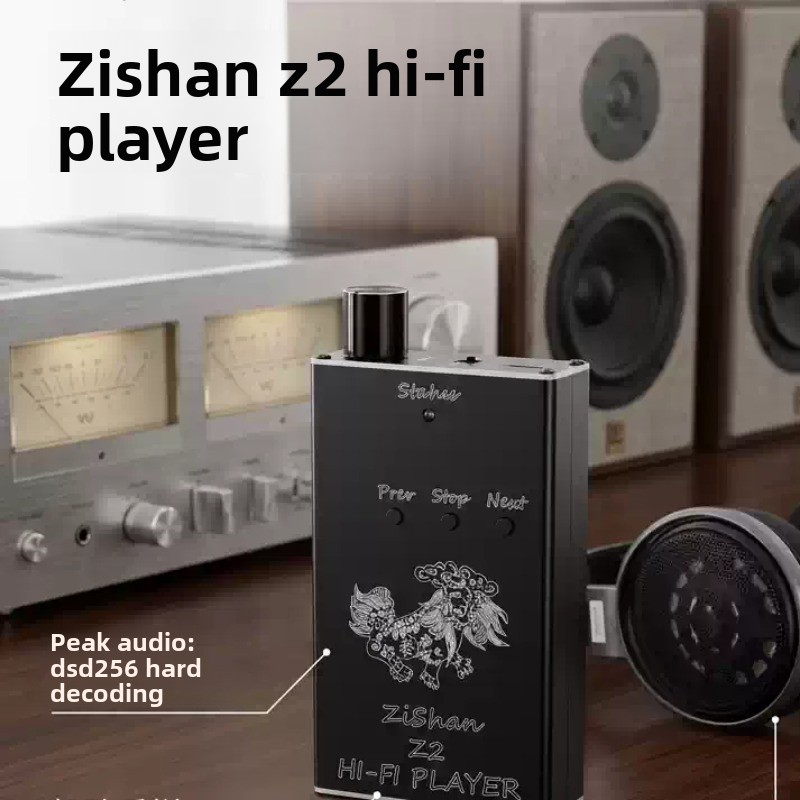 Musical Instrument Amplifier - Upgraded Zishan Z2 Portable HiFi Music