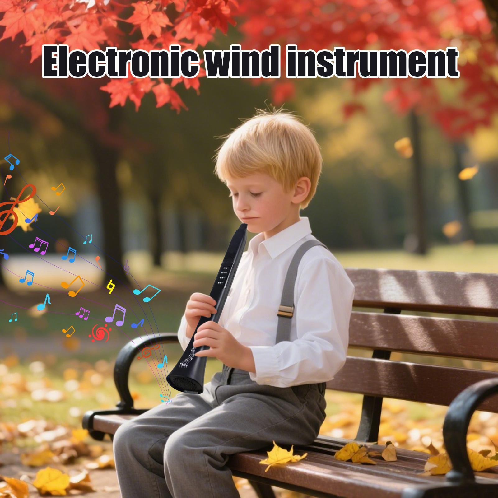 Electronic Digital Wind Instru - огляд і ціна Musical Instrument Synthesizer