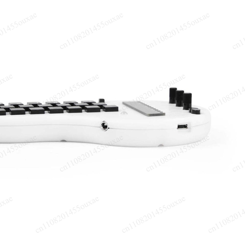 Open Source Minichord Synthesi - огляд і ціна Musical Instrument Synthesizer