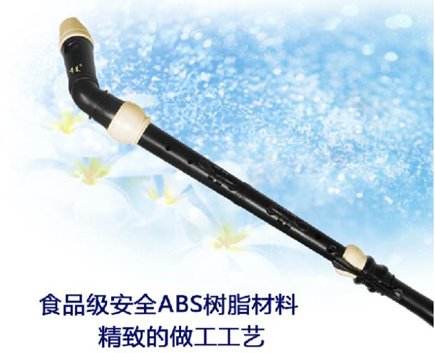 Professional 8 Holes Baroque B - огляд і ціна Musical Instrument In Chinese