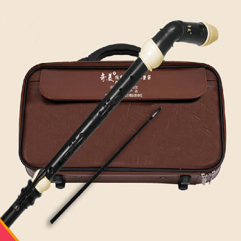 Professional 8 Holes Baroque B - огляд і ціна Musical Instrument In Chinese