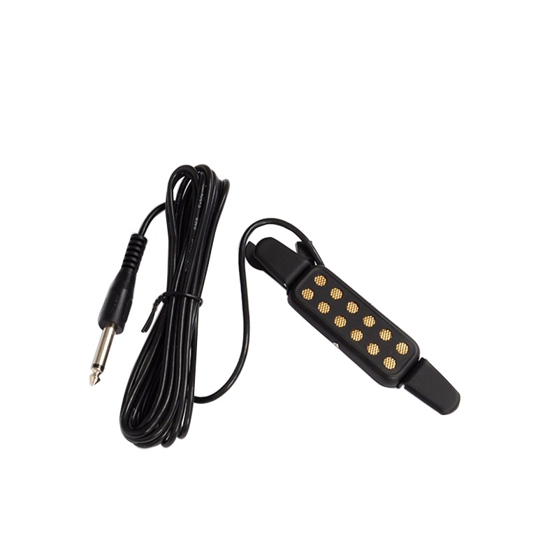 Professional Classic Acoustic  - огляд і ціна Musical Instrument Amplifier