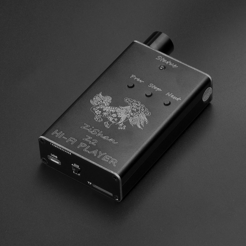 Upgraded Zishan Z2 Portable Hi - огляд і ціна Musical Instrument Amplifier