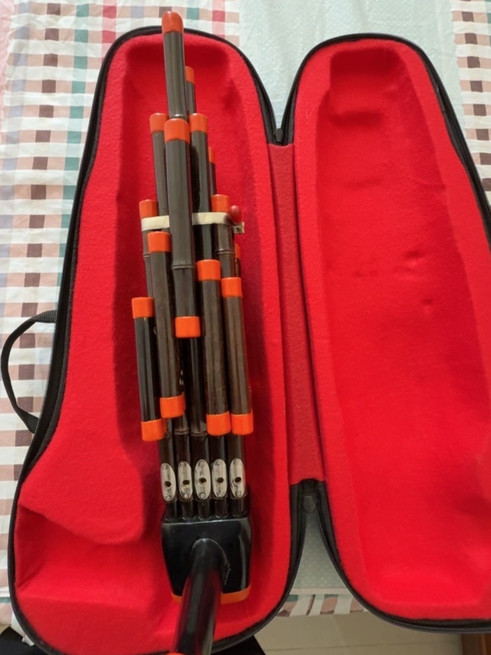 14 Reeds Sheng Double Sound Am - огляд і ціна Musical Instrument Amplifier
